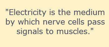 A Brief History of Electricity-5