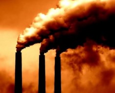 The Black (Coal) Truth